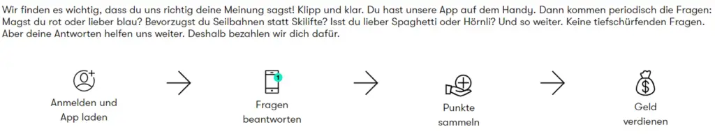 Anmelde Banner Nebenbei online Geld verdienen mit AmPuls