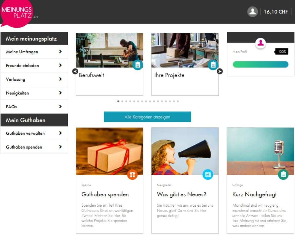 Einfach Geld verdienen. Meinungsplatz Webseite - 